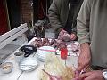 Fourcat_TER_2009 036
